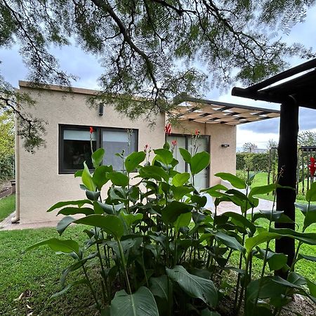 Loft Los Cerezos En Vistalba, Zona De Vinedos Y Bodegas Lujan de Cuyo Exterior photo
