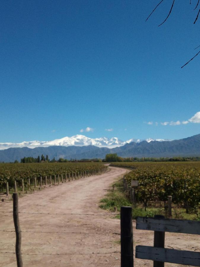 Loft Los Cerezos En Vistalba, Zona De Vinedos Y Bodegas Lujan de Cuyo Exterior photo